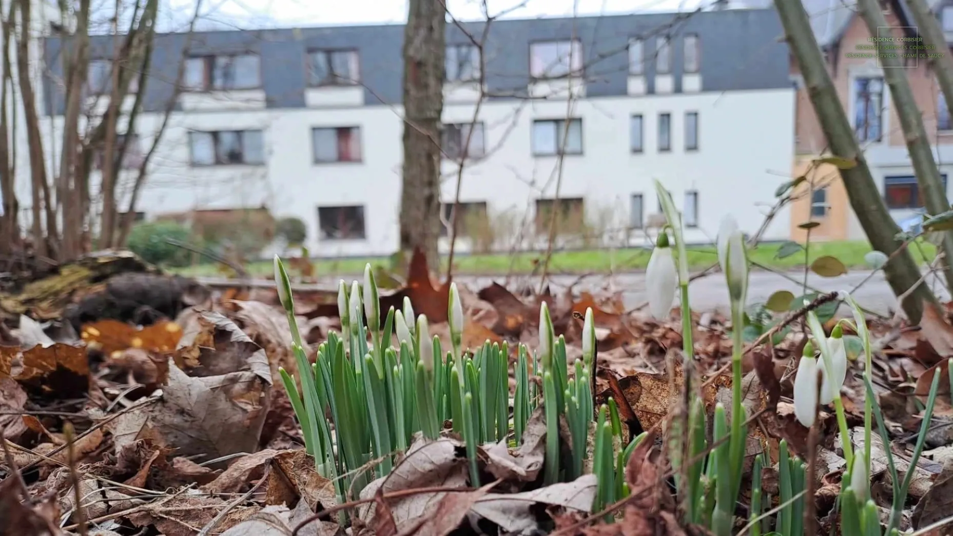 Mon arrière-plan